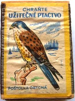 KATALÓG N°: 631